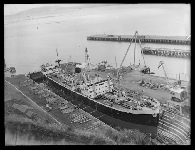 Steam ship Wellpark in the graving dock at Port Chalmers.