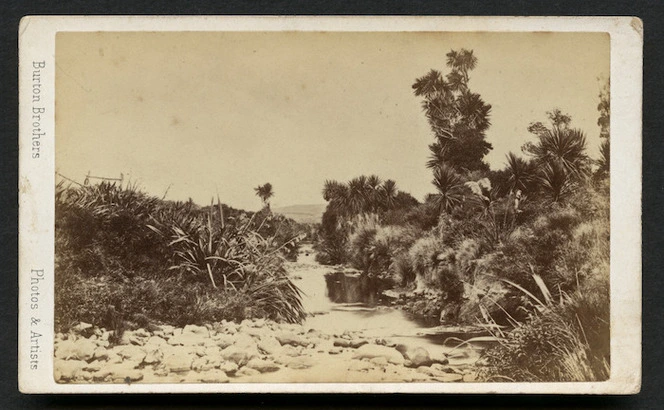 Burton Brothers (Dunedin) fl 1868-1896 :Unidentified landscape