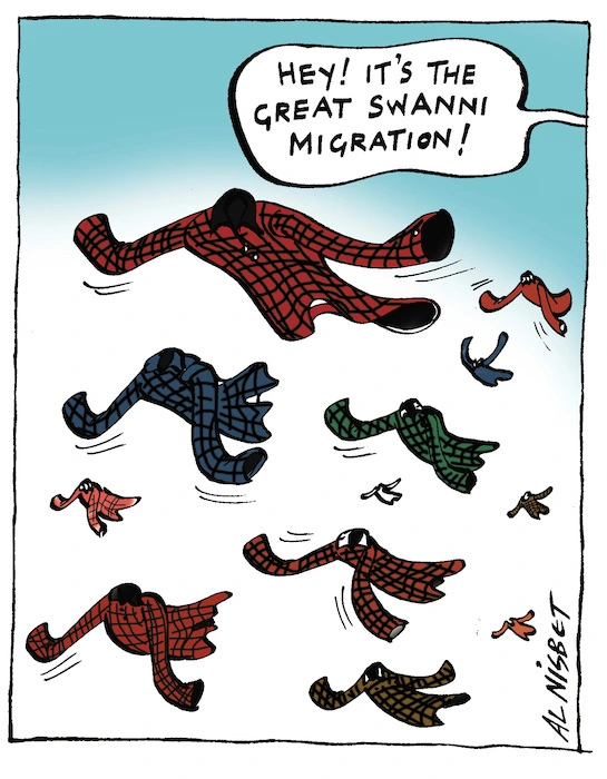 "Hey! It's the great Swanni migration!" 28 July, 2005