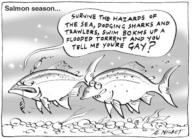 Salmon season... "Survive the hazards of the sea, dodging sharks and trawlers, swim 80kms up a flooded torrent and you tell me you're GAY?" 15 March, 2005