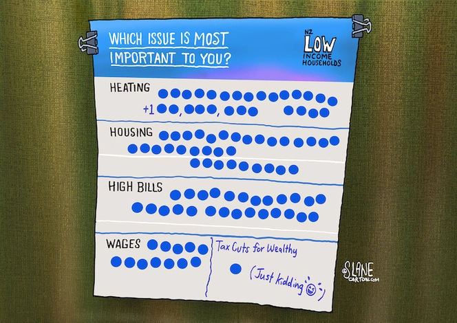 Which issue is most important to you? NZ Low Income Householders