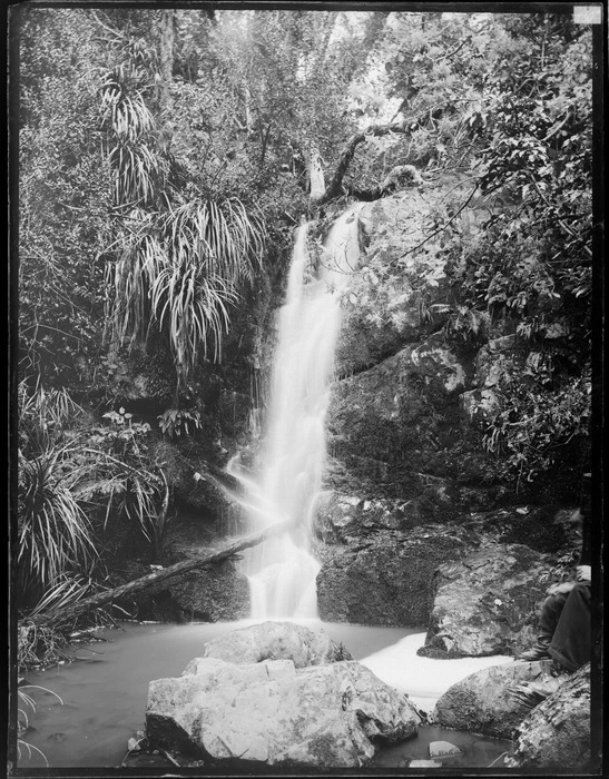 A small waterfall amongst native forest, Belmont, Lower Hutt