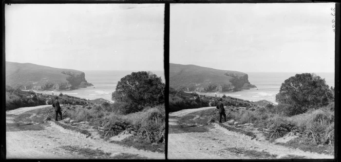 Unidentified man on road with view of ocean [Pounawea, Catlins, Clutha District, Otago Region?]