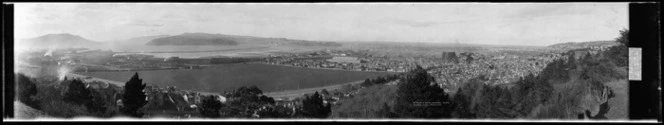 St Clair and South Dunedin from Montecillo