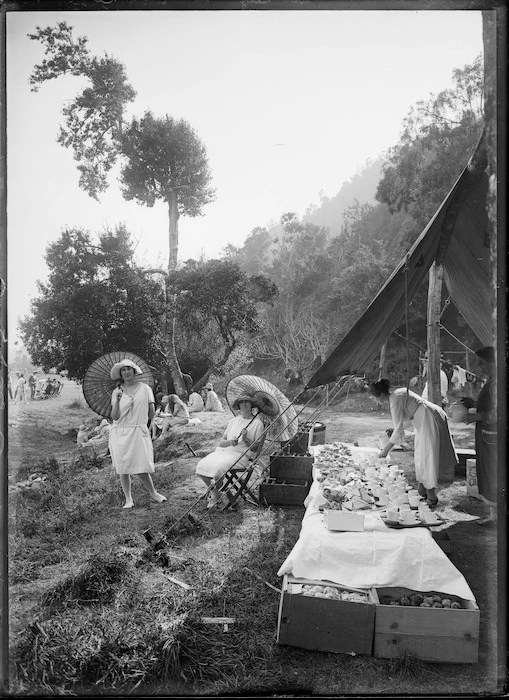 Audit picnic, commercial picnic, Wellington