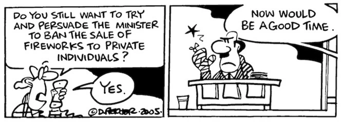 "Do you still want to try and persuade the Minister to ban the sale of fireworks to private individuals?" "Now would be a good time." 7 November, 2005.