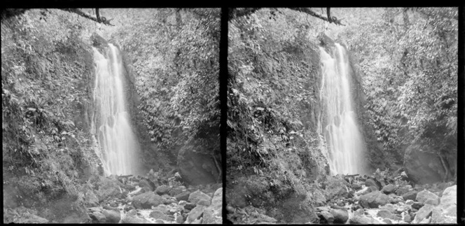 Waterfall, Nichols Creek, Leith Valley, Dunedin