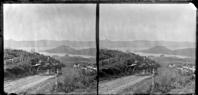 Unidentified women in carriage, Otago Peninsula, Dunedin area, with view of Otago Harbour