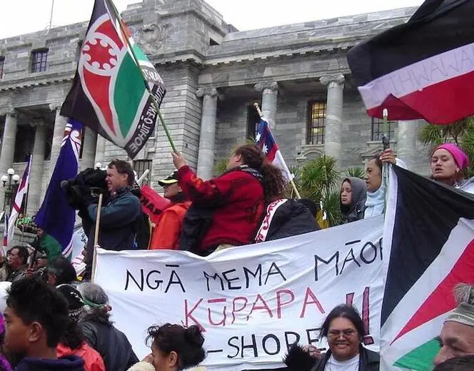 Participants in Foreshore and Seabed Hikoi, Parliament grounds, Wellington