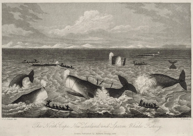 Polack, Joel Samuel 1807-1882 :The North Cape, New Zealand, and sperm whale fishery. J. S. Polack, del., W. Read, sc. London, Richard Bentley, 1838.