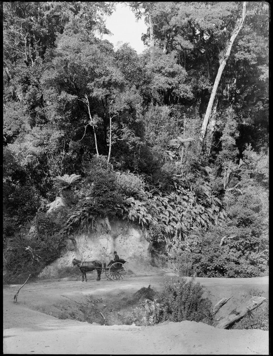 Carriage and horse on a country road, Raurimu District, Taumarunui, including trees and native bush