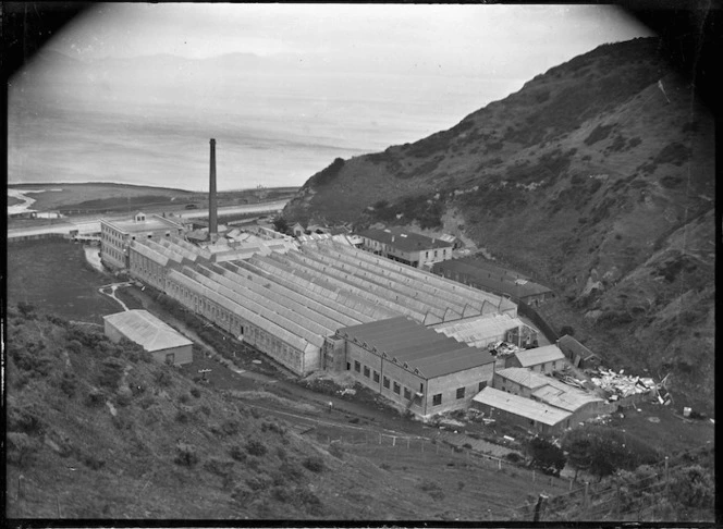 Wellington Woollen Manufacturing Company, Cornish Street, Petone