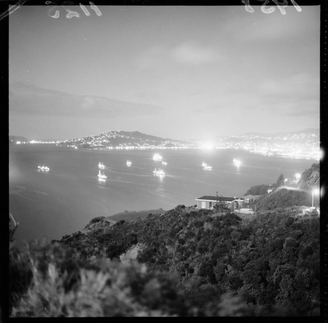 Night view of Russian whaling fleet in Wellington harbour