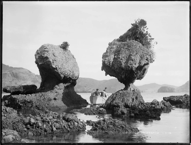 Whangaroa Harbour