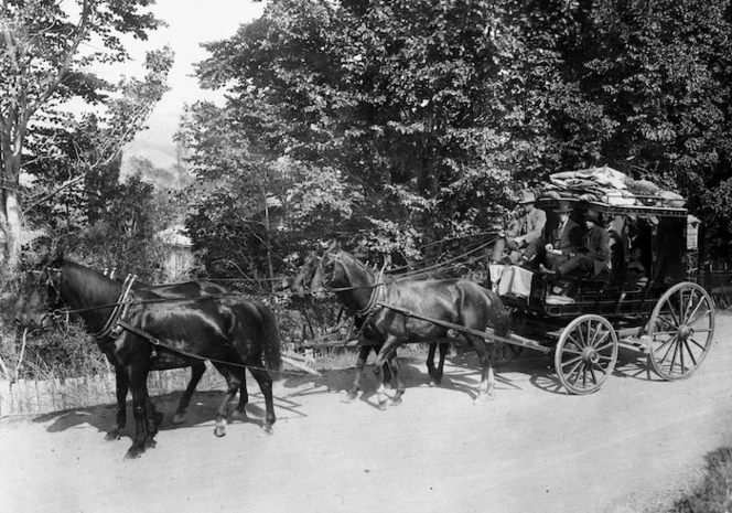 Homewood coach and horses, with R Beattie as the driver, Blairlogie