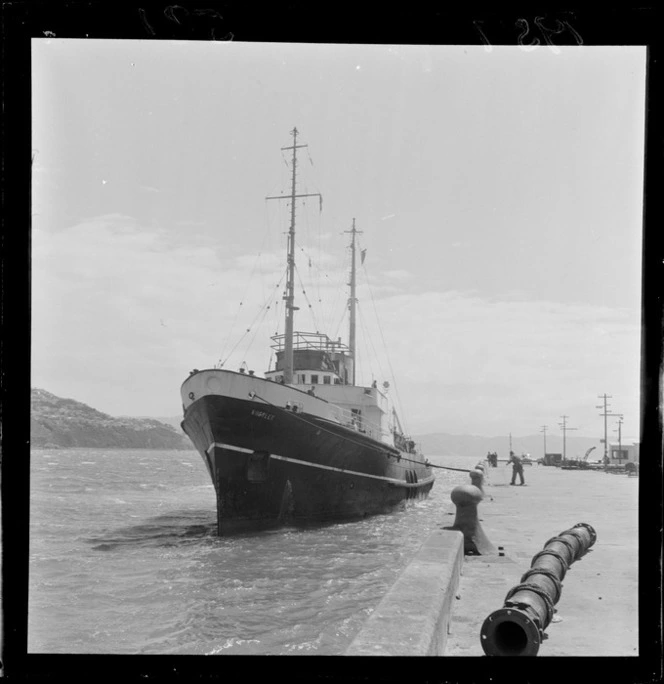 Admiralty Tug, Buster in Wellington Harbour