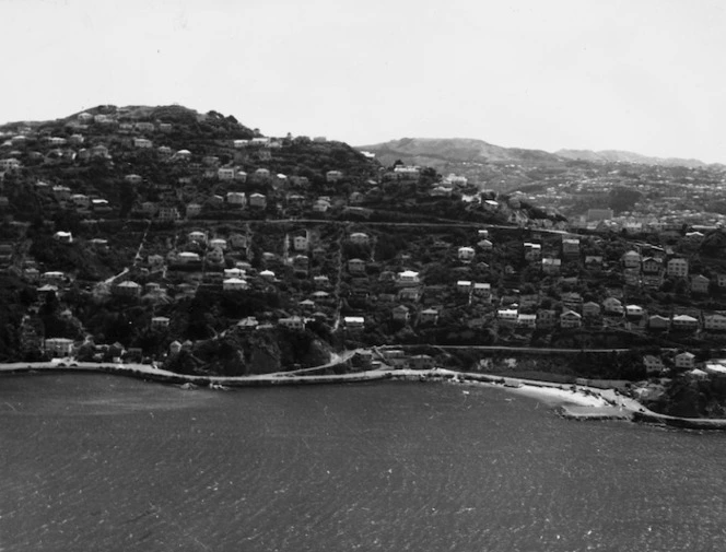 Overlooking the suburb of Roseneath, Wellington