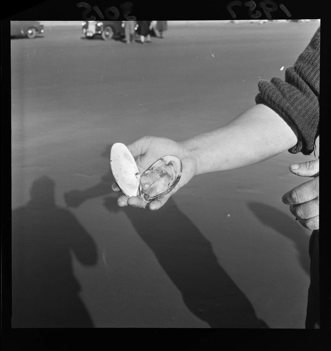 Unidentified man holds a single toheroa in his hand at Waitarere Beach, Levin