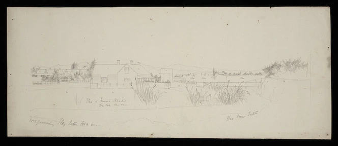 Artist unknown :Flax & Maori heads, toe toe, &c; flax, tutu, fern, &c [ca 1872-1874?]