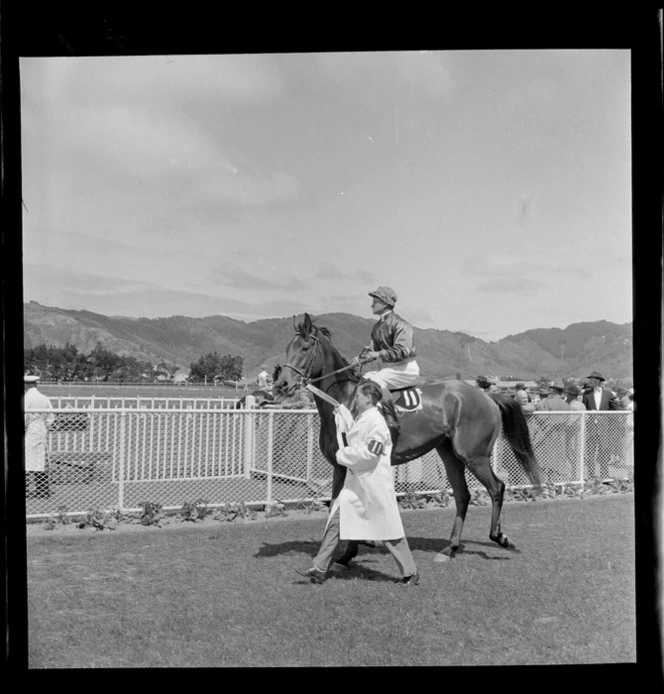 Horses and jockeys at Trentham racecourse, Upper Hutt