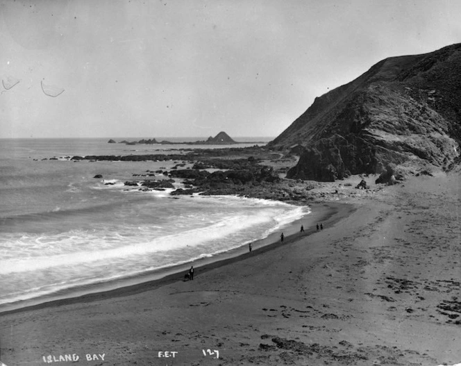 Houghton Bay, Wellington