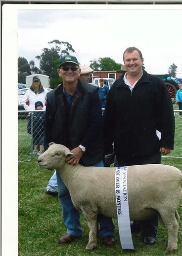 Image: Amberley A&P Show prizewinning sheep