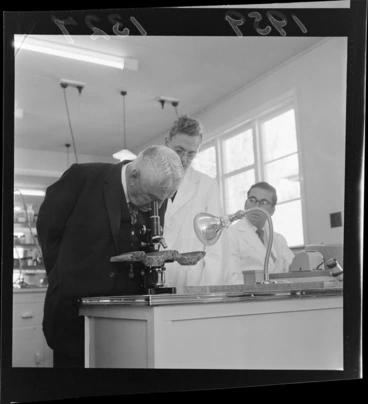 Image: Walter Nash using a microscope at the International Paints factory, Lower Hutt