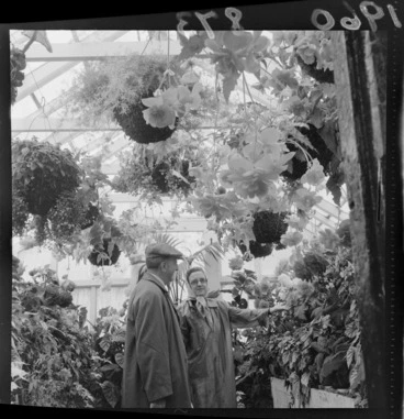 Image: Mr and Mrs F G Heagson in the Begonia House, Wellington Botanic Gardens, Wellington