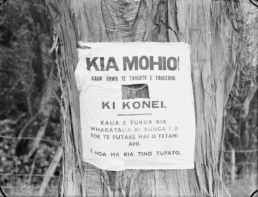 Image: Notice attached to a tree, written in Maori, warning not to light fires.