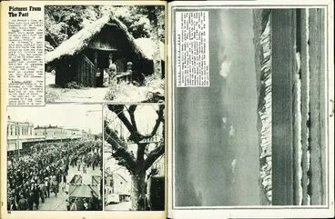 Young Nicks Head Te Kuri O Paoa Story Digitalnz Young Nicks Head Te Kuri O Paoa Story Digitalnz