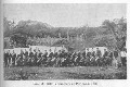 Image: Taranaki Rifle Volunteers at Parihaka, 1881