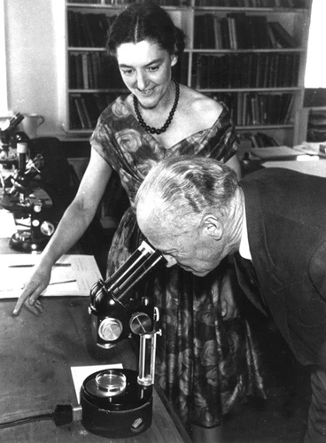 Image: In the laboratory, 1962