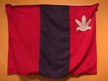 Image: Flag, Parihaka