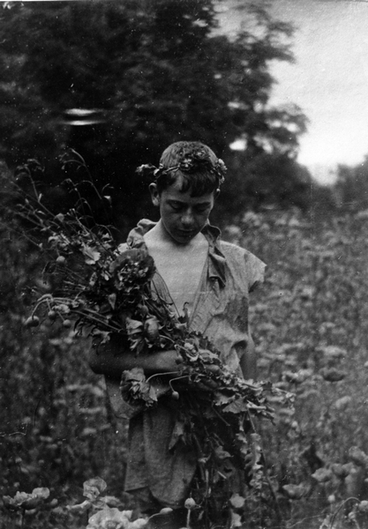 Image: A boy standing in a field of poppies