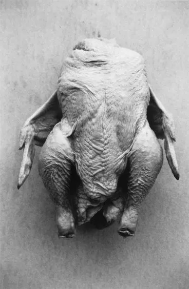 Image: Headless chicken