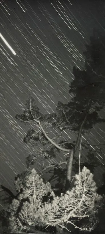 Image: Night sky, Waimamaku Valley