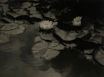 Image: By The Side of The Lily Pond