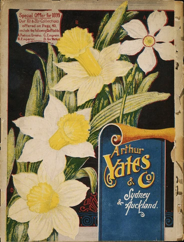 Image: Arthur Yates & Co. Ltd, Auckland :[Daffodils]. Yates' nursery catalogue. 1899. Back cover].