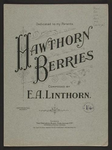 Image: Hawthorn berries / composed by E.A. Linthorn.