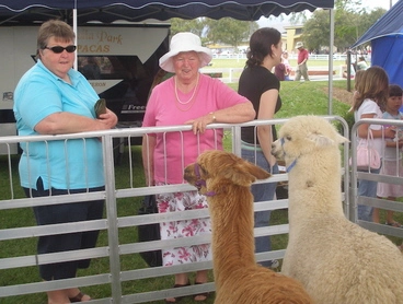 Image: Photograph of two women at Horowhenua A & P Show, Levin