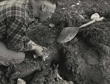 Image: Digging up rabbit holes
