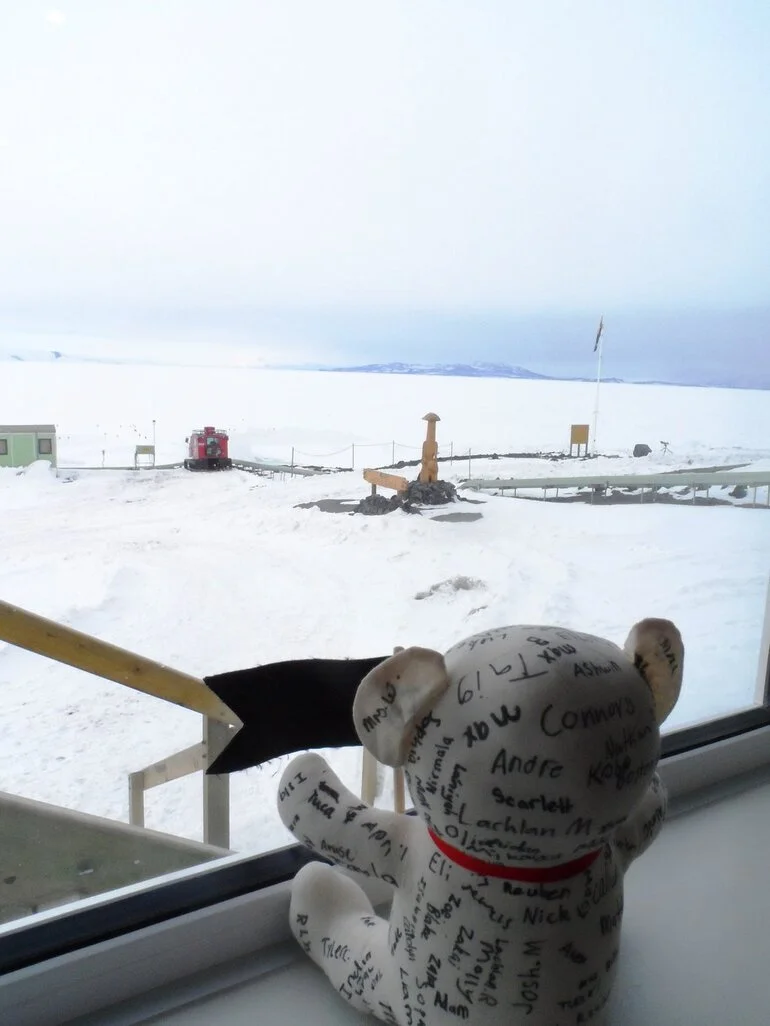 Image: Teddy goes to Antarctica