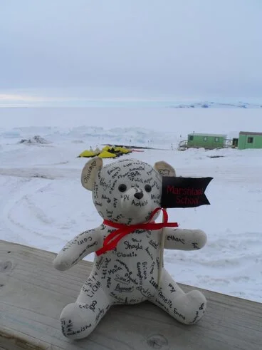 Image: Teddy goes to Antarctica
