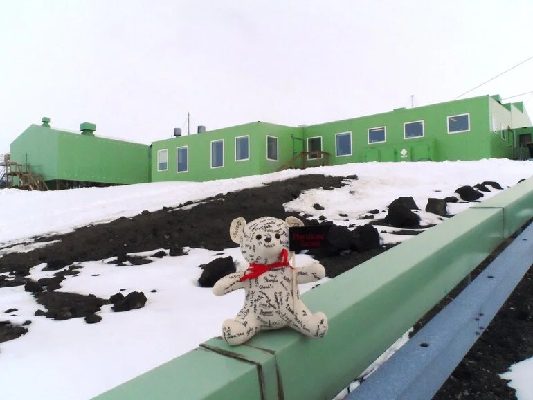 Image: Teddy goes to Antarctica