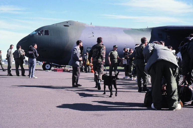 Image: Dogs searching Luggage for Drugs before Boarding