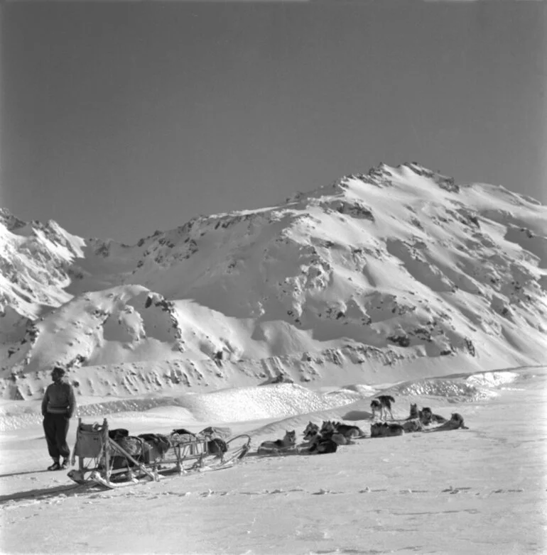 Image: Dog teams training on Tasman Glacier