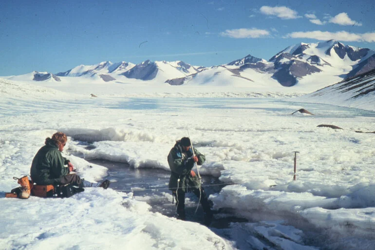 Image: Antarctic Aquatic Ecosystems Researchers