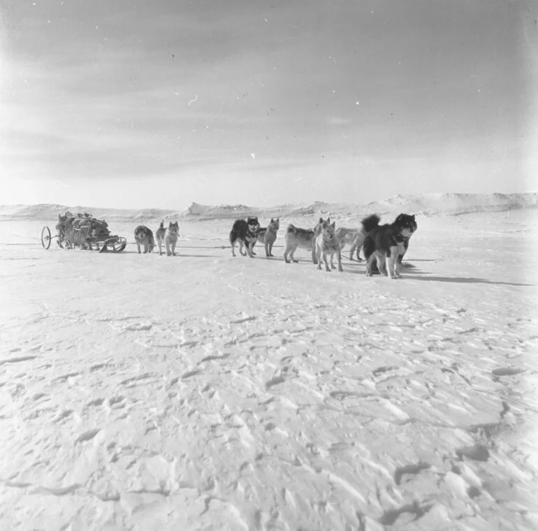 Image: Loaded sledge on journey between Depot 280 and Depot 480