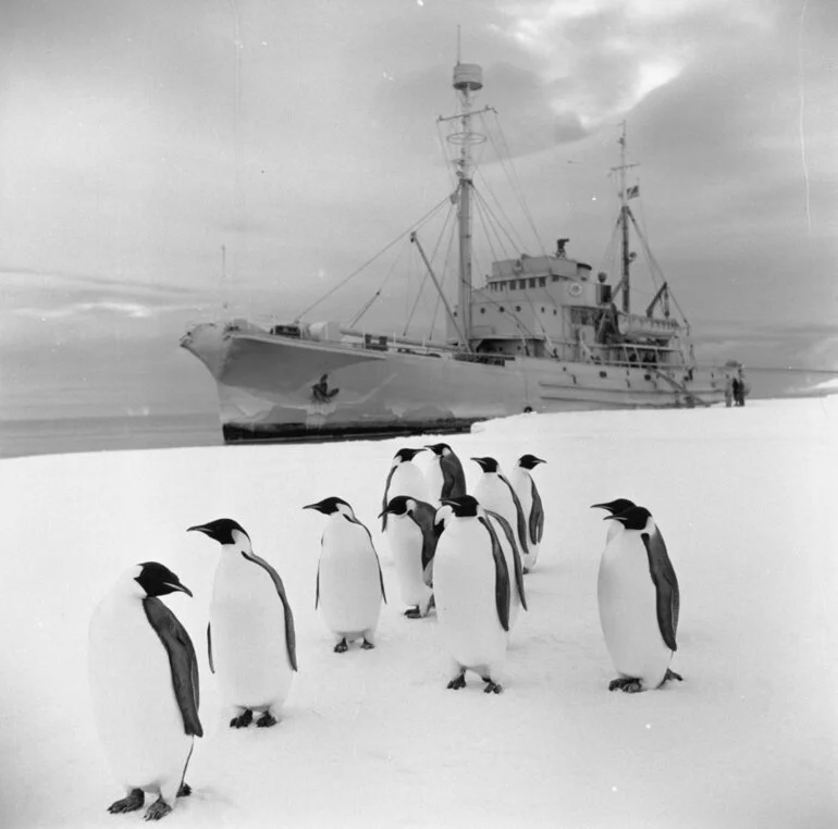 Image: Emperor penguins and HMNZS 'Endeavour'