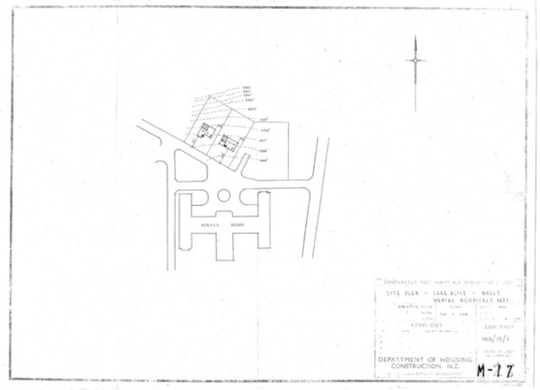 Image: Miscellaneous: Lake Alice, Bulls Mental Hospitals Department - Site Plan